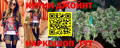 прущие грибы Гатчина