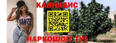 прущие грибы Гатчина