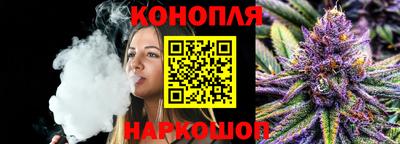 прущие грибы Гатчина