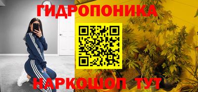 шишки Балаково