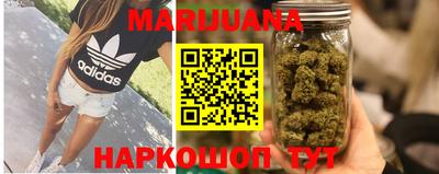 прущие грибы Гатчина