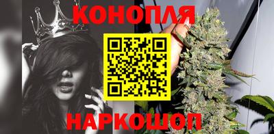 прущие грибы Гатчина