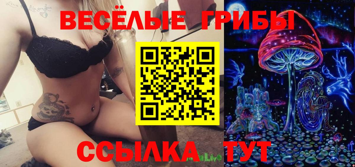 Галлюциногенные грибы прущие грибы Гусиноозёрск