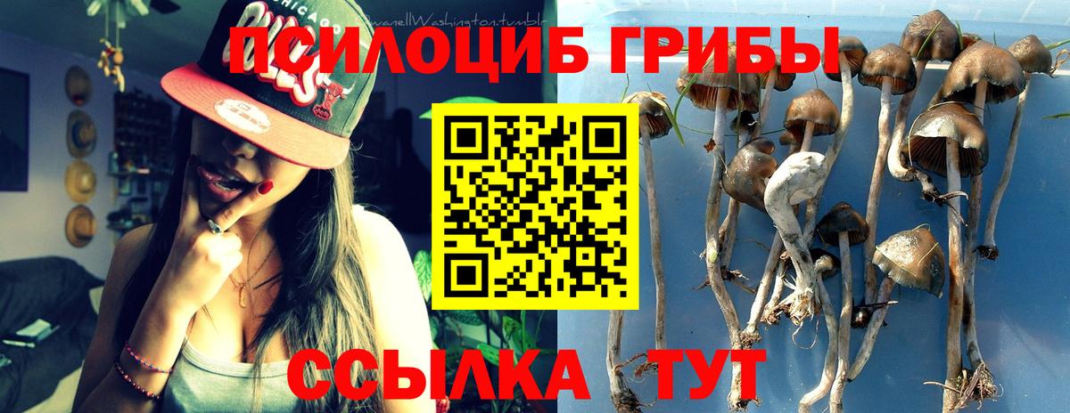 Псилоцибиновые грибы прущие грибы Гусиноозёрск