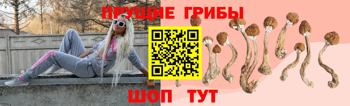 сколько стоит  Галлюциногенные грибы GOLDEN TEACHER  Вход с VPN  Галлюциногенные грибы Cubensis  Гусиноозёрск 